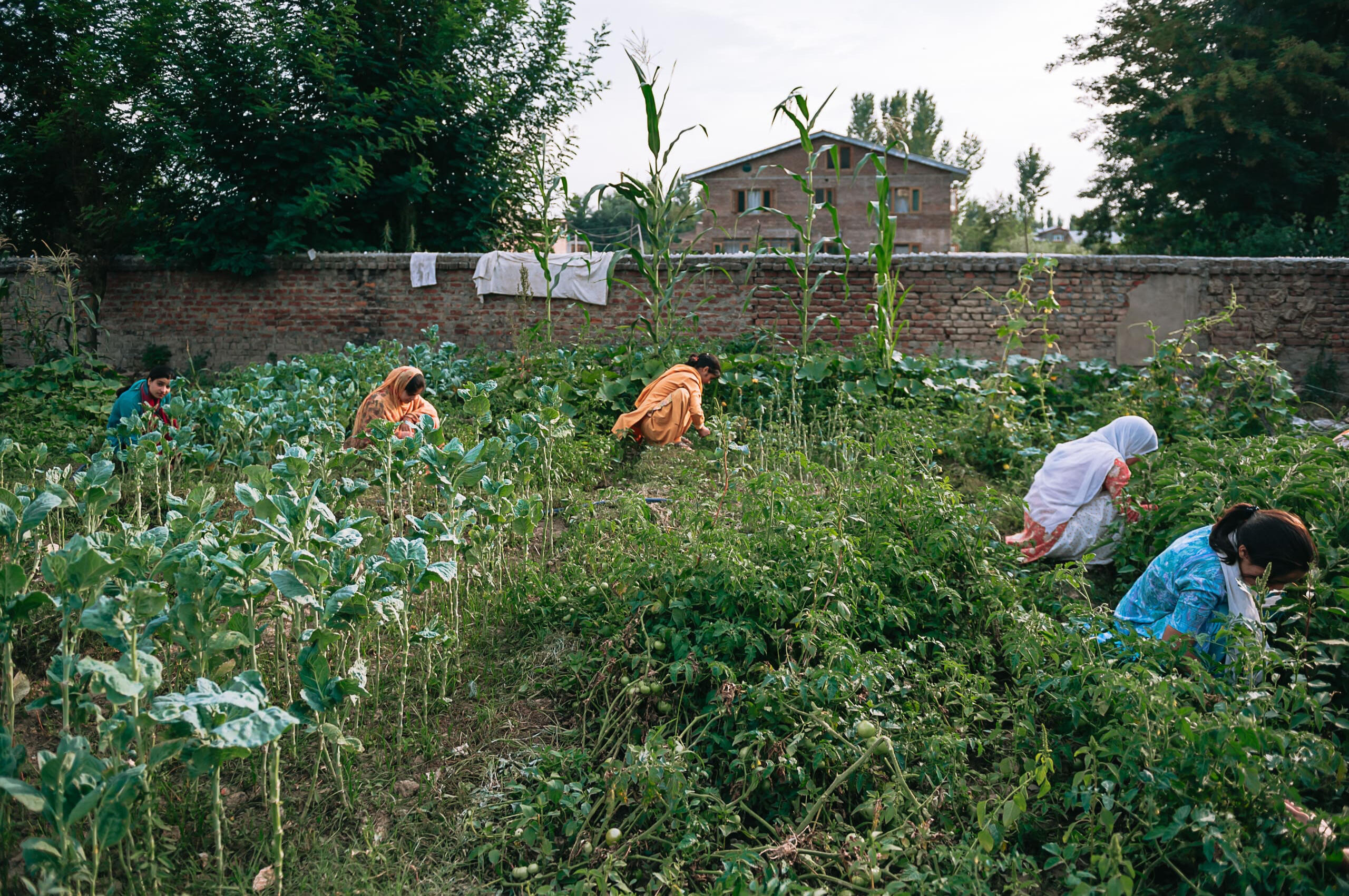 Working in the community garden