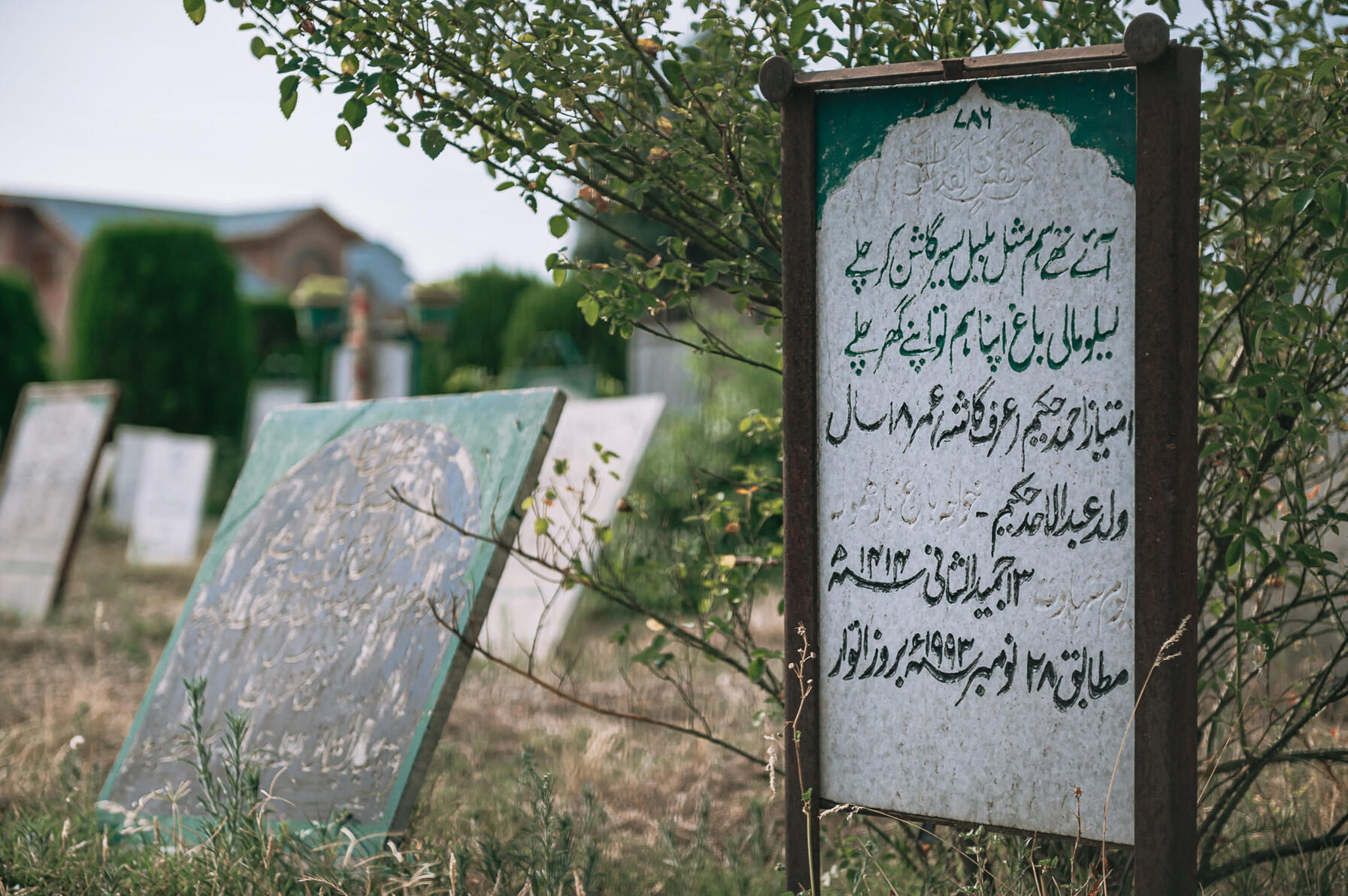 Mazar-e-Shuhada 6
